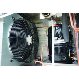 Thiết bị kiểm tra độ ẩm và nhiệt độ không đổi có thể lập trình